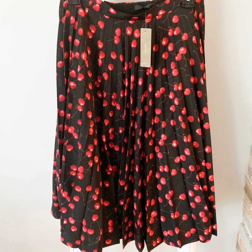 J-crew Skirt